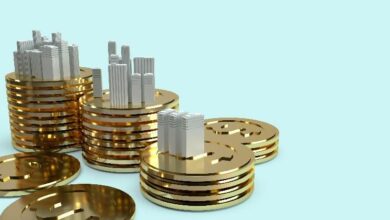 يورو ستايبل كوين تُثبِت الأهمية البالغة للستايبل كوين الأمريكية