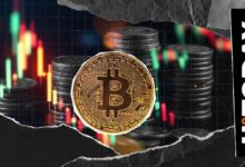 بيتكوين يحقق قفزة 4% مع تحرك ضخم للحيتان بقيمة 442 مليون دولار