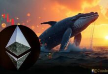 مراقبة الحيتان: صفقة شراء إيثيريوم بقيمة 12 مليون دولار على Hyperliquid تلفت الأنظار