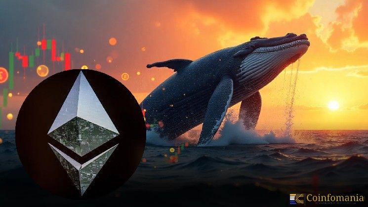 مراقبة الحيتان: صفقة شراء إيثيريوم بقيمة 12 مليون دولار على Hyperliquid تلفت الأنظار