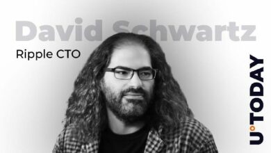رئيس التقنية في Ripple يوضح دور Tokenization في الاقتصاد على السلسلة: التفاصيل الكاملة