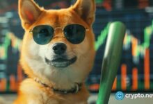 سعر Bonk يحافظ على دعم الحجم مع تشكل قاع مزدوج صاعد: هل reversal بات ممكناً؟