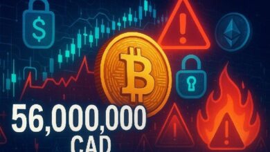 مصادرة عملات رقمية بقيمة 56 مليون دولار كندي: تيم درابر يدق ناقوس الخطر
