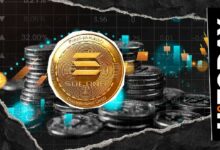 ماذا يحدث؟ 213 مليون دولار من عملة سولانا تنتقل في دقائق