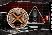 تبادل شريك Ripple يُصدر تحذيرًا حاسمًا من عمليات الاحتيال لـ XRP والمجتمع المشفري