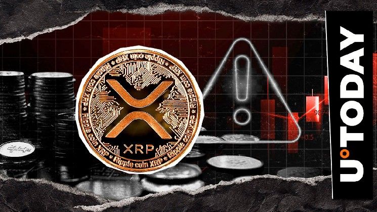 تبادل شريك Ripple يُصدر تحذيرًا حاسمًا من عمليات الاحتيال لـ XRP والمجتمع المشفري