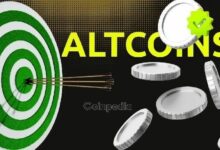 ثلاث ألتكوينات موصى بها من الحيتان للشراء قبل أكتوبر