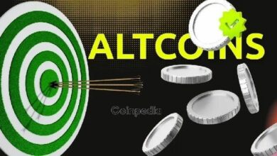 ثلاث ألتكوينات موصى بها من الحيتان للشراء قبل أكتوبر