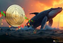 بيانات السلسلة تكشف: حوت يُخسر 16 مليون دولار بعد شراء 60 ألف إيثيريوم بسعر 4230 دولارًا