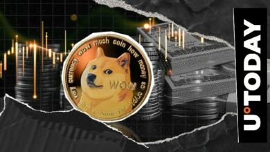 هل هذه آخر فرصة لشراء دوجكوين (DOGE) بسعر رخيص؟
