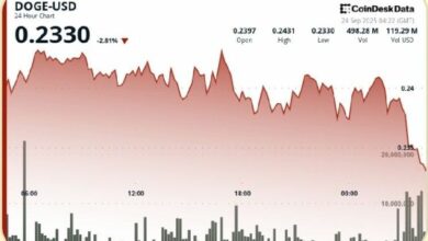 دوج كوين يحافظ على استقراره فوق دعم 0.24 دولار في جلسة متقلبة