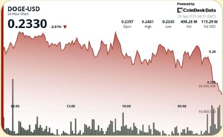دوج كوين يحافظ على استقراره فوق دعم 0.24 دولار في جلسة متقلبة