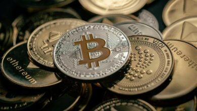 أسواق العملات الرقمية تظهر ضعفًا مع تحول المستثمرين نحو الأسهم