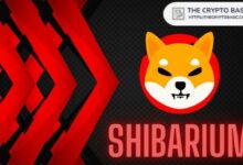 تحديث اختراق Shiba Inu: الجسر معطل وتعافي الأموال غير واضح