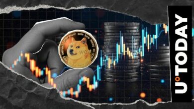 ما الخطوة التالية لعملة دوج؟ مدير المشروع يعلن عن خطط لتعزيز فائدة Dogecoin
