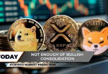 توقعات السوق: هبوط شيبا إينو (SHIB) على القمر ودوجكوين (DOGE) عالق عند 0.23 دولار - حدث XRP الأهم لتحقيق 3 دولارات