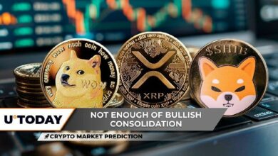 توقعات السوق: هبوط شيبا إينو (SHIB) على القمر ودوجكوين (DOGE) عالق عند 0.23 دولار - حدث XRP الأهم لتحقيق 3 دولارات