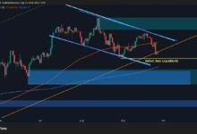 تحليل سعر البيتكوين: BTC يهبط دون مستوى دعم حاسم – ما التالي؟