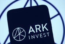 صندوق ARK يستثمر في أسهم علي بابا لأول مرة منذ أربع سنوات