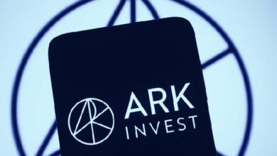 صندوق ARK يستثمر في أسهم علي بابا لأول مرة منذ أربع سنوات