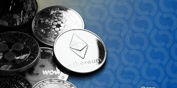 صعود مفاجئ لسولانا ودوجكوين يتصدر المشهد مع تصفيات مراكز بيع تتجاوز 260 مليون دولار