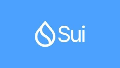 مؤسسة Sui تطلق برنامجًا توسعيًا متعدد السنوات لتعزيز الأمن السيبراني