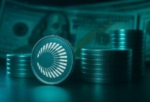 صعود صاروخي لـ XPL بنسبة 113% إلى قمة تاريخية جديدة بعد الانهيار يوم الإطلاق