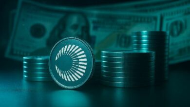 صعود صاروخي لـ XPL بنسبة 113% إلى قمة تاريخية جديدة بعد الانهيار يوم الإطلاق