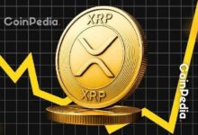 تحليل صادم: سعر XRP متجه إلى 20-30 دولاراً بحلول 2026