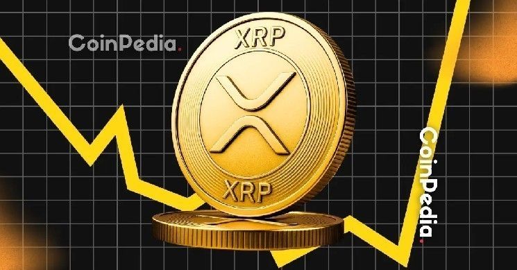 تحليل صادم: سعر XRP متجه إلى 20-30 دولاراً بحلول 2026
