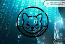 شيبا إنو: مُستغل جسر شيباريوم يتخلص من جميع عملات BAD بينما تستمر عمليات البيع