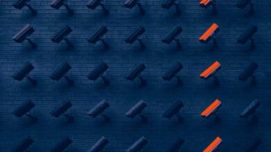 "إيليبتيك" تحذر من عمليات احتيال "ذبح الخنزير" على نطاق صناعي تستغل العملات الرقمية في غسل الأموال