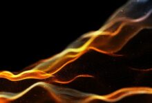 "ذا بايناري هولدينجز" تطلق شبكة بلوكشين من الطبقة الأولى على Avalanche