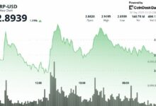 XRP يحافظ على تداوله فوق 2.90 دولار مع اقتراع مواعيد صناديق الاستثمار ETFs