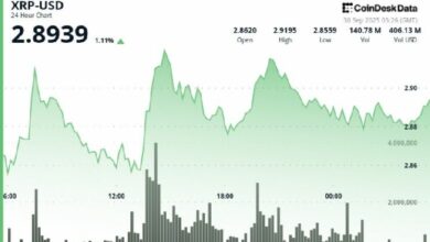 XRP يحافظ على تداوله فوق 2.90 دولار مع اقتراع مواعيد صناديق الاستثمار ETFs