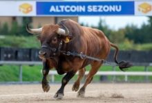 ما جديد مؤشر موسم العملات البديلة؟ هل نحن في موسم البيتكوين أم موسم الألتكوين؟