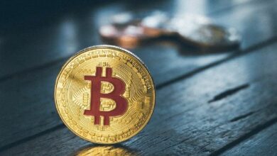 شبكة البيتكوين تسجل ذروة تاريخية في النشاط: كيف تؤثر على سعر BTC؟