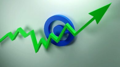 هدف قاعدة البالغ 20 مليار دولار حقيقي.. وهؤلاء 25 ألف مطور وراء تحقيقه