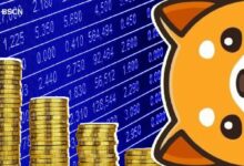 بيبي دوج تطلق بورصة لا مركزية جديدة: تغيير قواعد اللعبة لمحبي التمويل اللامركزي