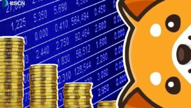 بيبي دوج تطلق بورصة لا مركزية جديدة: تغيير قواعد اللعبة لمحبي التمويل اللامركزي