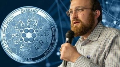 آخر مرحلة في خريطة طريق كاردانو: هوسكينسون يدعو لتشكيل مجلس مجتمعي