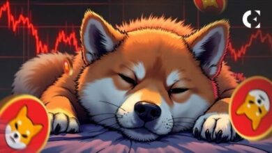 رياضيات سوق SHIB تمنع الوصول لهدف الدولار.. والحجم يهوي 22% في نطاق ضيق