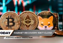 توقعات سوق العملات الرقمية: شيبا إنو (SHIB) في هبوط حر يهدد بإضافة صفر جديد، بينما إيثريوم (ETH) يثبت فوق 4000 دولار وبيتكوين (BTC) تحاول العودة إلى 110,000 دولار