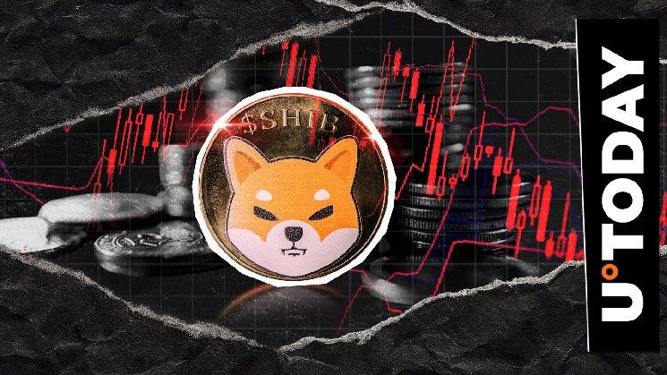 انخفاض مؤشر Shiba Inu بنسبة 99.02% يحمل مفاجأة صادمة: تفاصيل تحويل 9,008,428 SHIB