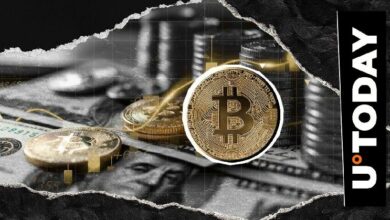 أول شمعة يومية للبيتكوين تتجاوز 20 ألف دولار: ما التوقعات下一步؟