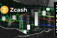 توقف الصعود المفاجئ لـ Zcash (ZEC) بنسبة 200%: السبب الرئيسي وراء ذلك