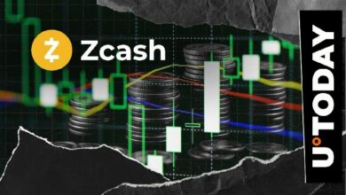 توقف الصعود المفاجئ لـ Zcash (ZEC) بنسبة 200%: السبب الرئيسي وراء ذلك