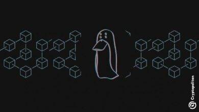 محقق بلوكتشين يكشف عن ثغرة في تتبع المعاملات بين السلاسل في محفظة زاشي