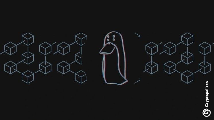 محقق بلوكتشين يكشف عن ثغرة في تتبع المعاملات بين السلاسل في محفظة زاشي