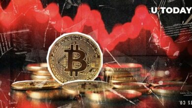 البيتكوين يشهد أحد أسوأ أعوامه مع فشل انتعاش أكتوبر